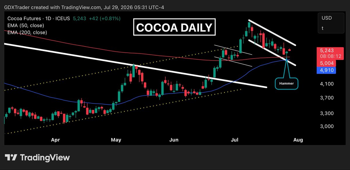 GDXTrader's tweet photo. #COCOA
#COCOA is attempting to carve out a pivot low reversal after yesterday ended up closing with a hammer candle directly at the confluence of the 200-day moving average and bull flag support, a level where buyers were expected to defend.
Today’s follow-through initially looked constructive with the gap higher, but bulls have struggled to build on that early strength, allowing momentum to fade as price develops a small bearish continuation candle intraday.
How we close today is critical. Bulls want to finish with a bullish continuation candle that confirms yesterday’s hammer and demonstrates conviction rather than hesitation.
A weak confirmation candle would suggest demand is fading and increase the odds that flag resistance rejects price once again.
From a risk-reward perspective, the setup remains attractive, with the 200-day moving average providing a clearly defined risk level, while a confirmed breakout above flag resistance would project a measured move higher.
This is one to watch closely, as today’s closing price will reveal whether buyers have enough conviction to sustain a pivot low reversal or whether sellers are beginning to regain control.
If you're interested in learning candlestick strategies, chart concepts, technical analysis, and gaining access to our post-market technical videos where we recap commodities, share our outlook, and highlight potential setups, join us at https://t.co/piEjMamo61.
$NIB $BYND $KHC $GIS $MDLZ $HSY $CPB $SJM $NSRGY $ADM $BG $FDP