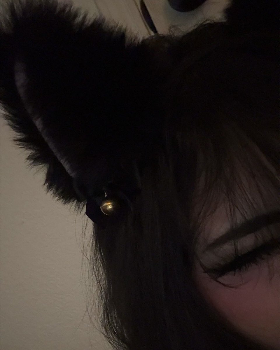 katxzx's tweet photo. Meow meow meow #egirl #catgirl #cute #cutecore #doll #dolly #meow #kitten https://t.co/8r4wyNERFN