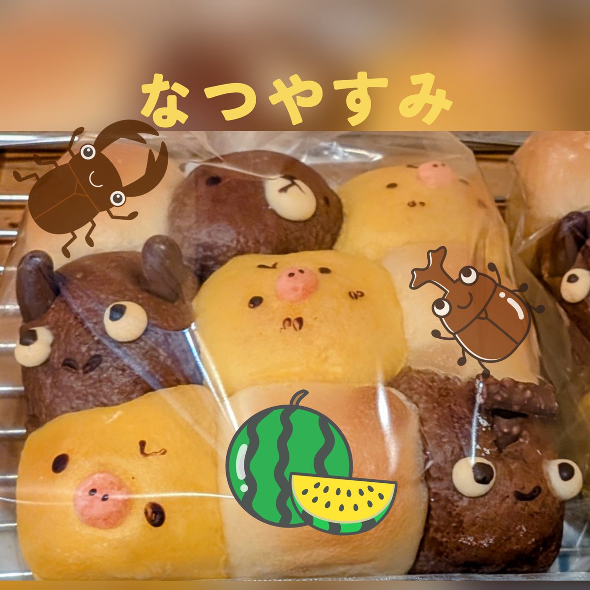 papapanda4's tweet photo. 夏休み限定で「ちぎりぱん」にカブトムシとクワガタムシがやって来ました🪲☀🍉
是非、飼ってやって下さいね〜🐼
#ファミリーベーカリーぱんだ https://t.co/udtStf8pbz