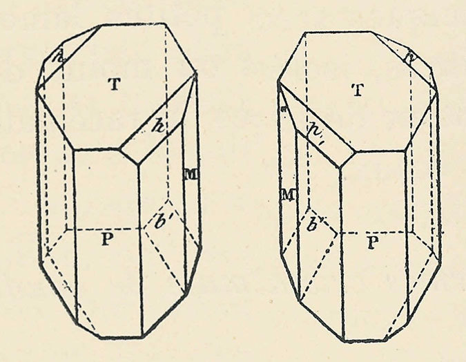 tkapler's tweet photo. Louis Pasteur v květnu 1848 seděl v pařížské laboratoři s pinzetou a mikroskopem. Před sebou měl drobné krystaly sodno-amonné soli kyseliny vinné. Všiml si, že některé mají na jedné hraně maličkou plošku orientovanou doleva, jiné doprava – jako zrcadlové obrazy. Roztřídil je podle tvaru. Když pak každou hromádku rozpustil a prosvítil je polarizovaným světlem, jeden roztok točil světlo jedním směrem, druhý opačným. Tím objevil, že molekuly mohou existovat ve dvou formách, které se k sobě mají jako levá a pravá ruka.

Ze stejného principu dnes vychází český fyzikální chemik Vít Svoboda a chce na něm postavit počítač.

Co je chiralita a proč na ní záleží

Chirální molekula se nedá překrýt se svým zrcadlovým obrazem. Stejně jako levá rukavice nejde nasadit na pravou ruku. V chemii těmto zrcadlovým dvojčatům říkáme enantiomery. Mají stejné atomy a stejné vazby, ale jejich prostorové uspořádání je opačné. V přírodě to hraje obrovskou roli: téměř všechny aminokyseliny v našich bílkovinách jsou levotočivé, cukry naopak pravotočivé. Jedna forma léku může léčit, druhá bývá neúčinná nebo dokonce škodlivá.

Pasteur to poznal právě podle tvaru krystalů a podle toho, jak roztoky otáčely polarizované světlo. Dnes umíme chiralitu měřit mnohem přesněji – a hlavně v reálném čase.

První český sen o petahertzovém počítači

V prosinci 2025 se Vít Svoboda z Ústavu fyzikální chemie VŠCHT Praha (@VSCHT) stal prvním Čechem, který vyhrál mezinárodní soutěž Dream Chemistry Award. Soutěž oceňuje odvážné, ale stále realistické vědecké vize mladých chemiků a pořádá ji Ústav organické chemie a biochemie AV ČR (@IOCBPrague) společně s polským partnerem. Svoboda se dostal nejen do finálové pětky, ale rovnou zvítězil. Před ním vítězové pocházeli především z Oxfordu, Cambridge nebo Harvardu.

Jeho projekt se jmenuje „From Molecular Chirality to Petahertz Quantum Computing“. Vychází z jevu zvaného CISS (chiralitou indukovaná spinová selektivita). Když elektron prochází chirální molekulou, jeho spin (kvantová vlastnost, kterou si lze představit jako „směr otáčení“) se chová jinak podle toho, jestli je molekula levotočivá, nebo pravotočivá. Jedna forma preferuje spin „nahoru“, druhá „dolů“.

Svoboda navrhuje využít ultrakrátké laserové pulzy, které by molekulu dokázaly přepínat z jedné chirální formy na druhou v řádu desítek femtosekund (femtosekunda je miliontina miliardtiny sekundy – za tu dobu světlo urazí vzdálenost srovnatelnou s velikostí bakterie). Tím by se zároveň přepínal i spin elektronu. Výsledek: molekulární „tranzistor“ pracující na petahertzových frekvencích – teoreticky milionkrát rychleji než dnešní gigahertzové procesory.

Výhoda by mohla být i praktická. Současné kvantové počítače potřebují teploty blízké absolutní nule, aby se zabránilo šumu. Chirální přístup by podle Svobody mohl fungovat při mnohem vyšších teplotách a být přirozeně odolnější vůči rušení, protože využívá samotné kvantové vlastnosti molekul.

Od Pasteura přes české laboratoře k dnešku

Pasteur otevřel dveře. Česká chemie má v této oblasti silnou tradici – od precizní organické syntézy až po bioorganickou chemii, kterou proslavil například Antonín Holý vývojem antivirotik. Holého léky (a většina moderních léčiv) ukazují, jak kritické je správné prostorové uspořádání molekul. Jedna enantiomerní forma může zachránit život, druhá bývá neúčinná.

Svoboda na této tradici staví moderními nástroji. Po magisterském studiu na VŠCHT odešel na doktorát na ETH v Curychu, pak působil v Institutu Maxe Borna v Berlíně a na JILA v Coloradu. V roce 2023 získal prestižní grant JUNIOR STAR od Grantové agentury ČR a vrátil se do Prahy. Od roku 2024 vede na VŠCHT Laboratoř attosekundové spektroskopie a dynamiky molekul. Specializuje se na časově rozlišený fotoelektronový cirkulární dichroismus – metodu, která dokáže „filmovat“ změny chirality během chemických reakcí v reálném čase.

V lednu 2026 získal také Cenu Neuron pro nadějné vědce v chemii. V rozhovorech opakovaně zdůrazňuje, že kvantový počítač je pro něj zatím „třešnička na dortu“. Hlavním cílem je pochopit fundamentální procesy, jak chirální molekuly interagují s elektrony na nejkratších časových škálách. V roce 2026 vyšel v časopise Chimia přehledový článek o femto- a attosekundové spektroskopii chirálních molekul, na kterém se podílel – důkaz, že výzkum pokračuje a je mezinárodně propojený.

Kde jsme dnes

Stále jde o koncept. Nikdo ještě takový chirální kvantový tranzistor nepostavil. Cesta od laboratorních spekter k funkčnímu zařízení bude dlouhá a plná technických překážek. Princip je však elegantní a přesný: vzít starou zrcadlovou symetrii, kterou Pasteur třídil pinzetou, a přepínat ji světlem rychlostí, kterou si většinou nedokážeme ani představit.

Jedna levá a jedna pravá ruka molekuly. Mezi nimi světlo, které přepíná spin. A za tím vším český vědec, který se vrátil domů a zkouší z 19. století udělat 21. století.

P.S.: pro ty kdo mě ještě neznají - každý den se snažím najít a sepsat nějaký podobně zajímavý příběh či dva. Jestli vás to baví, lajkujte, sdílejte a hlavně dejte sledovat, ať vím, jestli v tom mám pokračovat. Díky.
