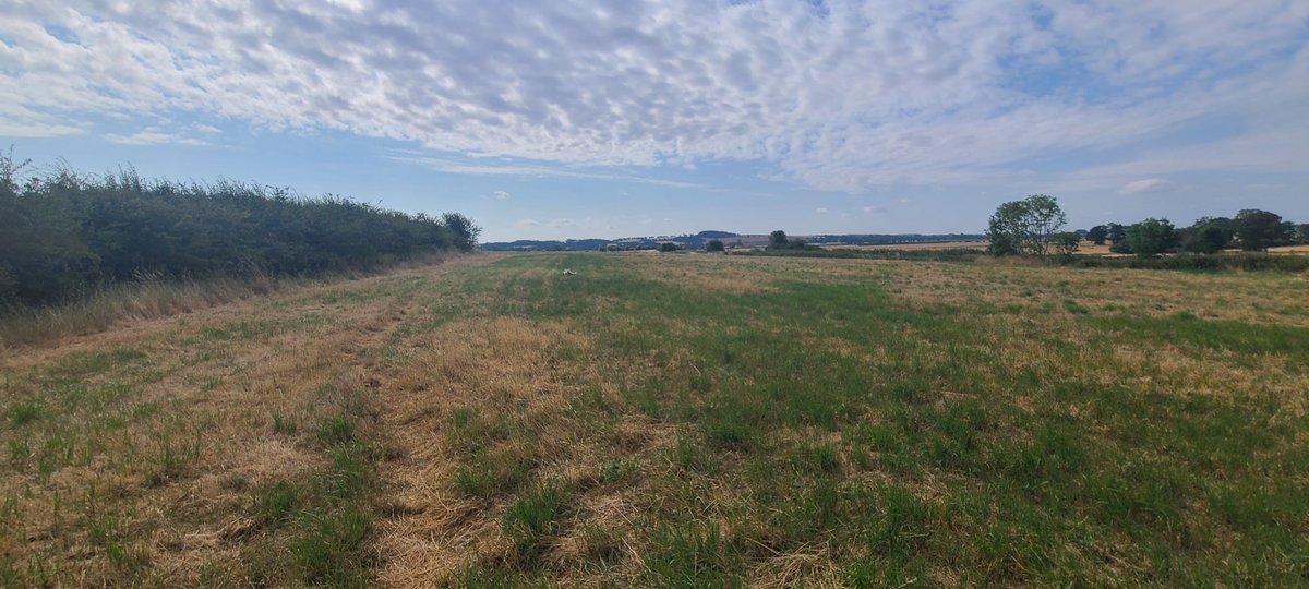 MarkLastMiner's tweet photo. Loveley walk around Clayworth this morning.
Jax loves big open spaces to stretch her legs
Only on official paths, mind you and no livestock today
3 pictures, can you spot Jax in 2 out of the 3?
🐕🐕🤣🤣🤠🤠
#MakeEveryDayCount https://t.co/cjGUT4BNm9
