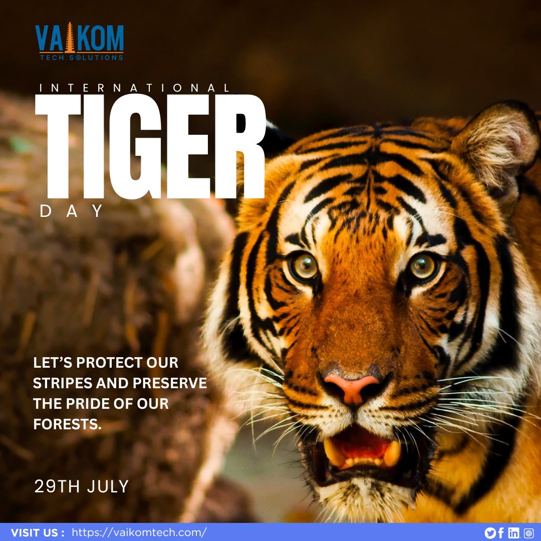 LtdVaikom's tweet photo. 70% of the world's wild tigers call India home — a responsibility, not just a statistic. This International Tiger Day, let's protect the roar that keeps our forests alive. 

#InternationalTigerDay #SaveTigers #WildlifeConservation https://t.co/JWrDh9ushQ
