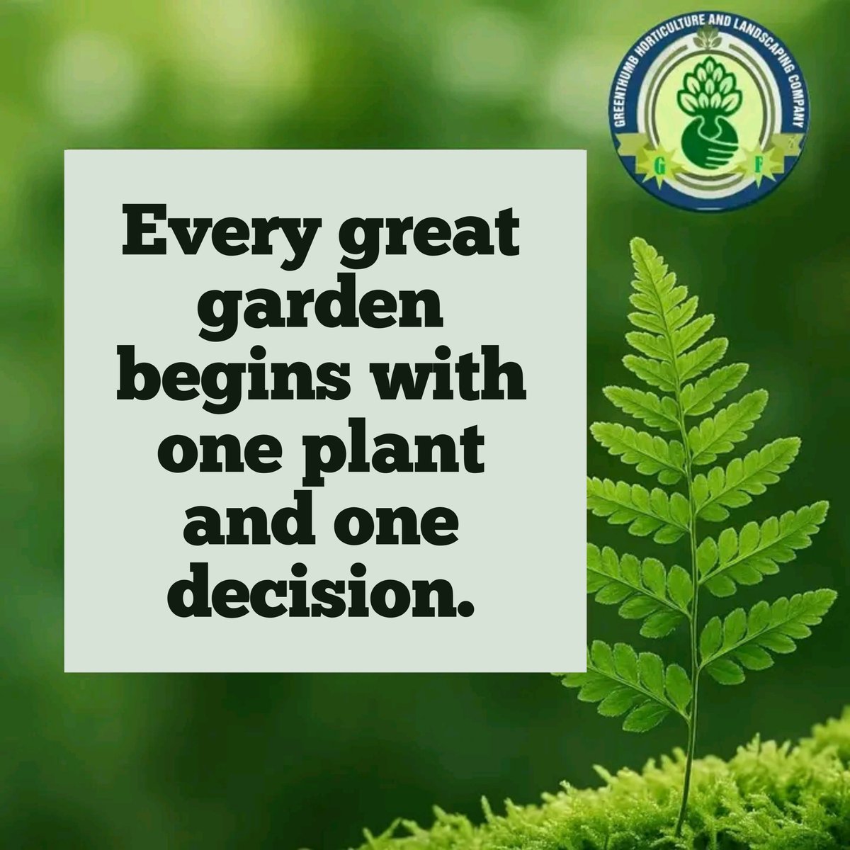 Greenthumbhort's tweet photo. Don't underestimate the impact of planting today.

The shade you'll enjoy tomorrow, the flowers that will brighten your mornings, and the fresh air you'll breathe all begin with one simple step.

🌿 Plant with purpose. Grow with patience.

#GreeneryMotivation #GrowWithNature https://t.co/jCUJn1kZvz