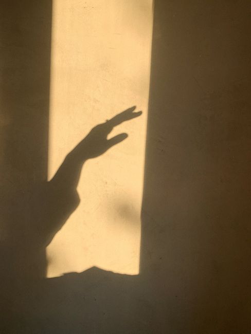 JuliusTetreau's tweet photo. الواضح أن المؤلف من أن المؤلف بذل الكثير من الجهد في هذه المقالة. من الواضح لديه فهم عميق للموضوع. sebastian dupouy🐴 https://t.co/r0B0ukVMhM