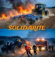 luckasdelille59's tweet photo. Les Pompiers, les chasseurs, les pêcheurs, les agriculteurs, les militaires, les citoyens et les maires sont ensemble face aux feux 🔥
Mais ça commence à chauffer entre la Prefetette et les maires, elle ne veut pas voir les agriculteurs.
Alors pourquoi est elle si intransigeante,
Il se passe un phénomène inattendu que la Macronie n'avait pas prévu.
La vraie France se remet en mouvement, la solidarité s'organise, les français prennent le pouvoir ensemble, les agriculteurs, les pêcheurs, les chasseurs et les citoyens sont solidaires, ils font bloc avec les maires.
Ça la Macronie déteste ça, ils ont passé 9 ans à détruire ce lien fraternel, il est entrain de se reconstituer sur un drame, ils ne savent plus quoi faire pour l'enrayer, mais ils feront tous pour le détruire, il faut garder ce lien, c'est cela qui peut sauver le pays.
L'espoir renaît des cendres de la forêt tel le phœnix 
💙🤍❤️👏