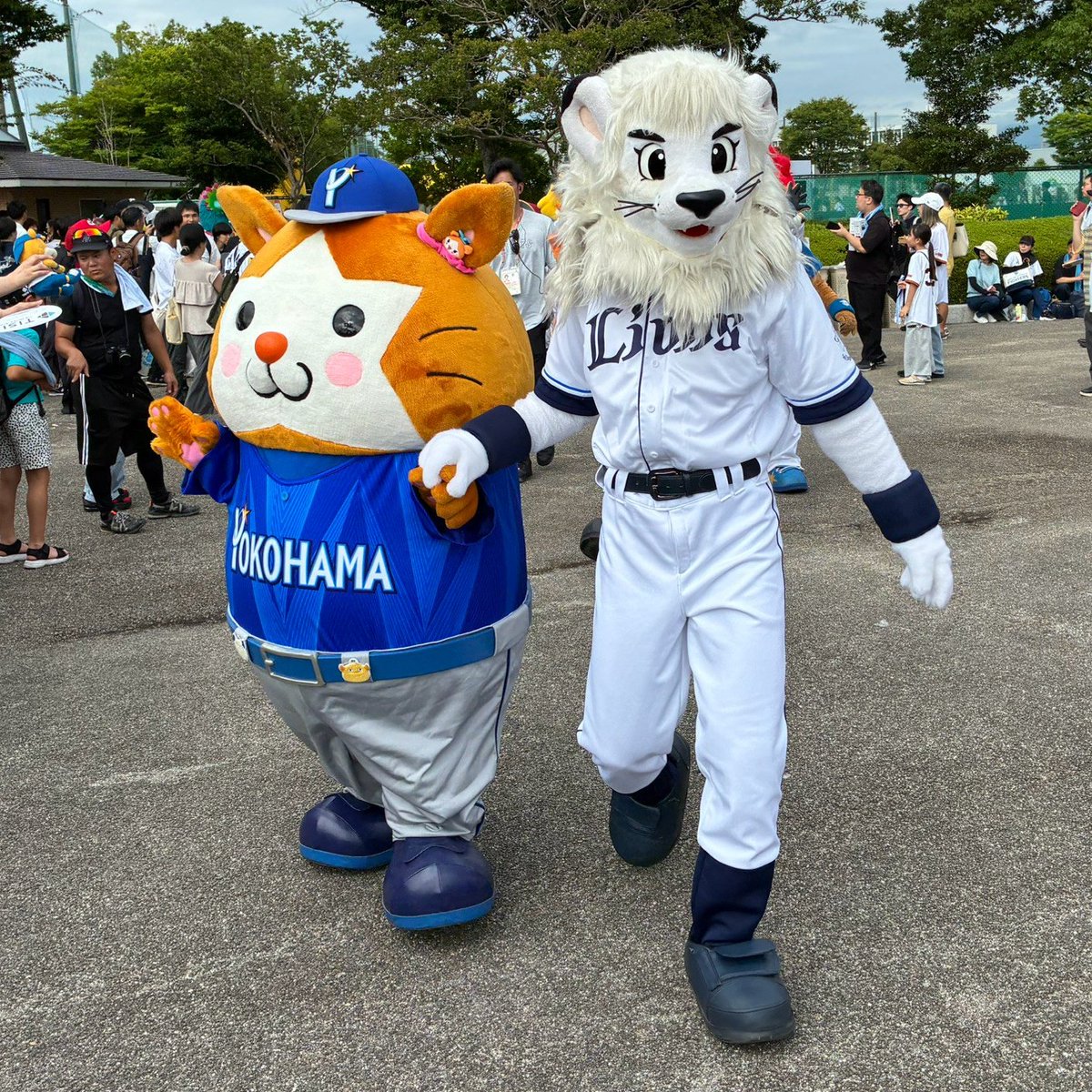 ydb_yokohama's tweet photo. 【マイナビオールスターゲーム2026 第2戦】

#レオ にエスコートされる #スターマン 🦁🐹💕

#seibulions 
#オールスター  
#baystars https://t.co/hnNJUgcrqP
