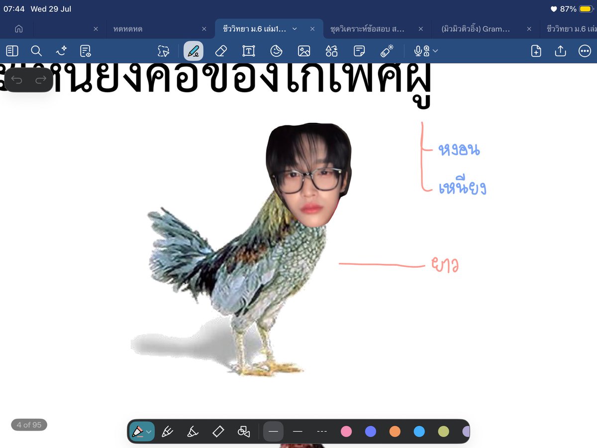 thewedoct's tweet photo. เห้ย ไก่หลุด https://t.co/oJukfyGXBN