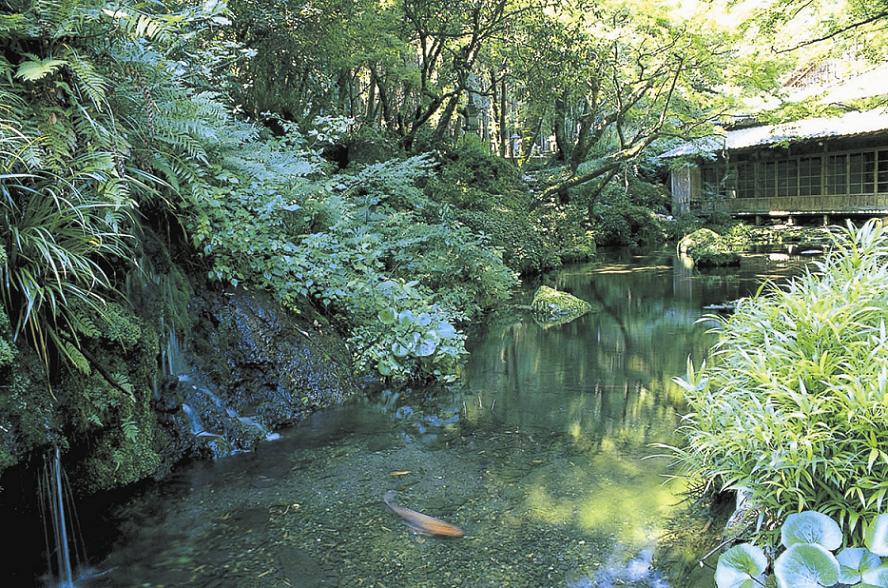 10secondsspring's tweet photo. 名水どころの熊本市は水道水が100％地下水。冷たいうえに、カルシウムやマグネシウムなどが多く含まれるミネラルウォーターなんですよね。

どうか一刻も早く断水や濁水が解消しますように。

※写真は環境省「平成の名水百選」より金峰山湧水群 https://t.co/U5dU470Fwd