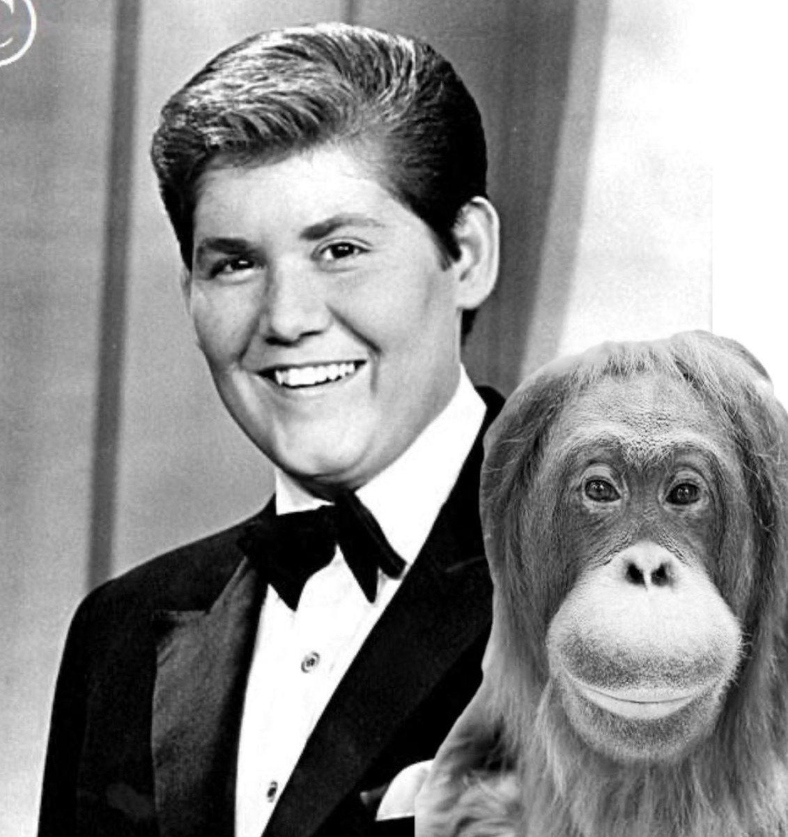 Orangutandrea tweet media