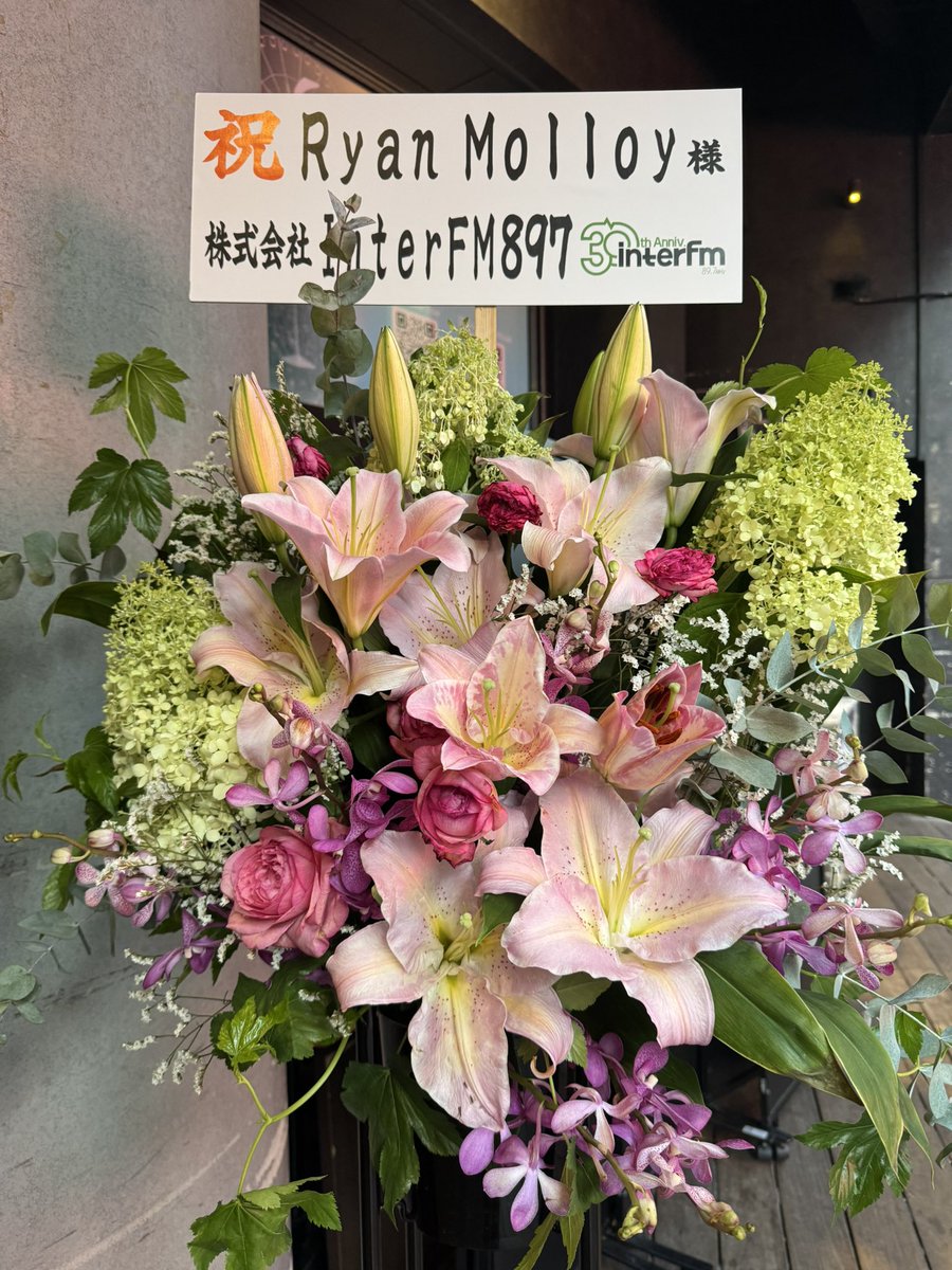 murakamimania's tweet photo. ライアン・モロイのライブに来ています〜！ https://t.co/3fySgqb4AE