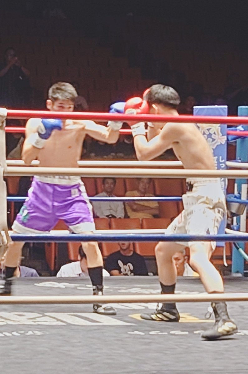 ChibaBoxing tweet picture