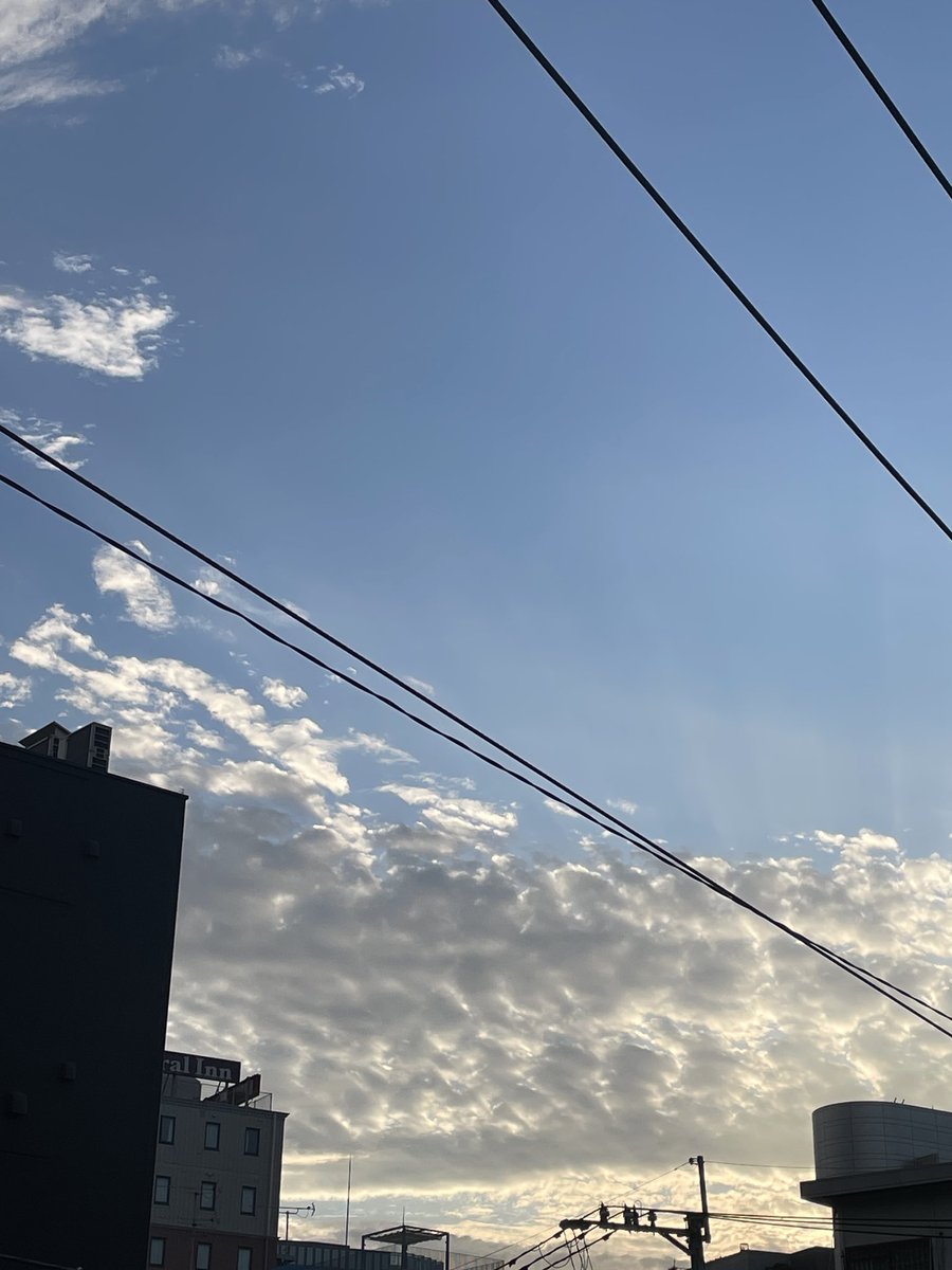 ninntya's tweet photo. しーちゃんです
具合が悪いです
力が入りません
ものすごーい低空飛行で
取り敢えず仕事します
もう　帰りたい https://t.co/lfWgrMlwe1