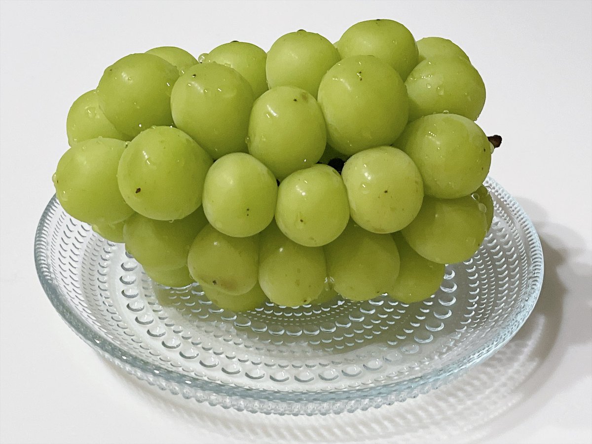 s_esuu's tweet photo. いただきもののシャインマスカット🍇
あるのすっかり忘れてて1週間以上冷蔵庫で眠ってて裏側ちょっと傷ませてしまった😭 https://t.co/1vTgz2GjQy