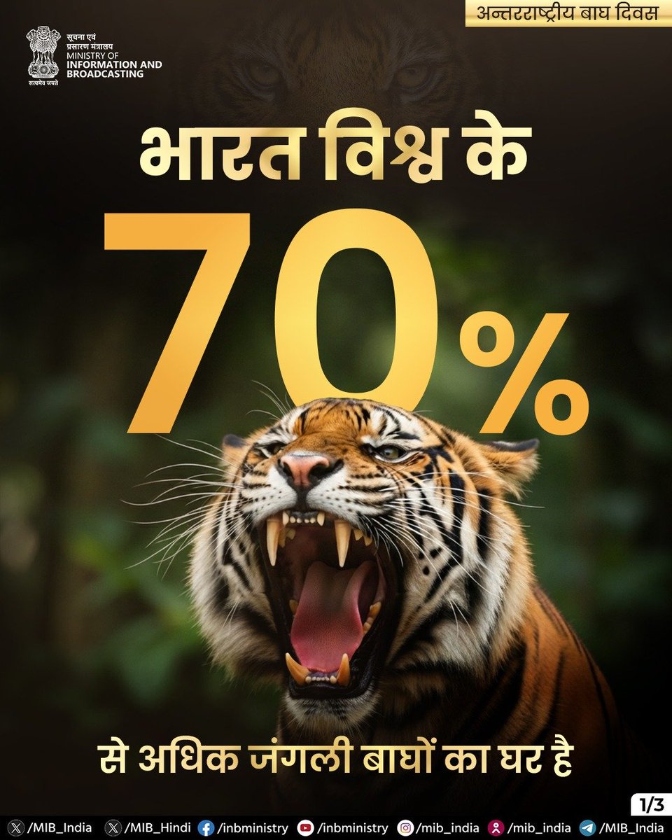 AIRNewsHindi's tweet photo. अन्तरराष्ट्रीय बाघ दिवस पर भारत🇮🇳 की उपलब्धियों पर एक नजर!🐅

🐅भारत विश्व के 70% से अधिक जंगली बाघों का घर है। 

🐅प्रोजेक्ट टाइगर और सतत संरक्षण प्रयासों ने इस सफलता को संभव बनाया है।

#InternationalTigerDay #ProjectTiger #WildlifeConservation
