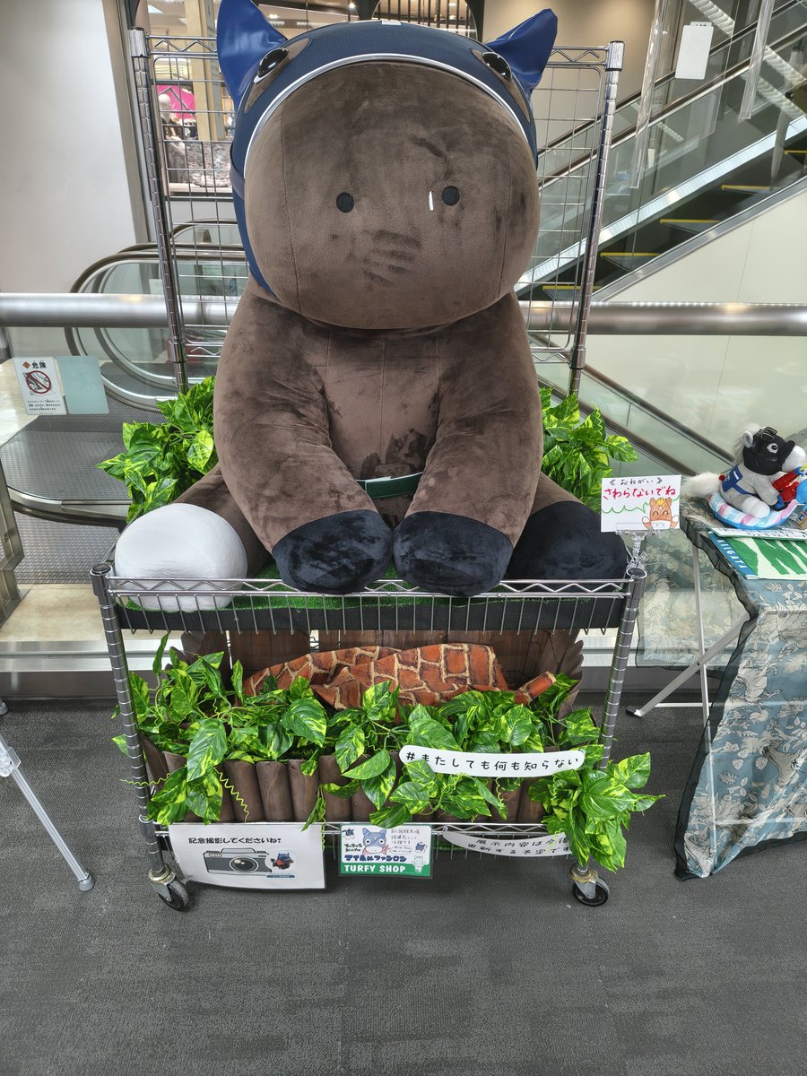 Coco_tatara's tweet photo. 展示内容は今後更新する予定です。

#マイネルファンロン
#でかもっちファニキ https://t.co/hwjdYm3tcx