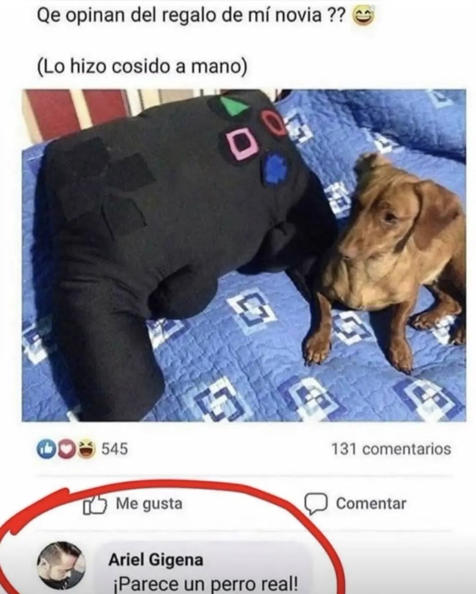 wikipistacho's tweet photo. https://t.co/MI0yXOeYSj