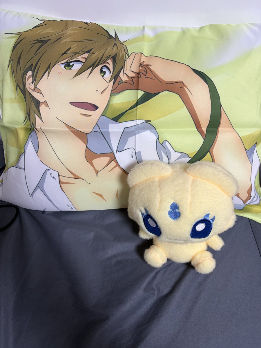 makodawan's tweet photo. 旦那がこれみてすごい笑ってたけどベットの上には置かないでって🫪🫪🫪🫪🫪🫪🫪 https://t.co/XschTVQRrP