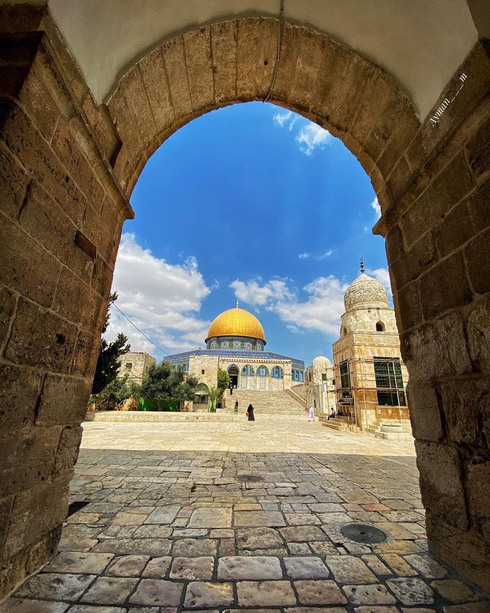 AqsaMosq's tweet photo. من بين أقواس الأقصى يتجلى الجمال القدسي بأبهى صورة 😍

#المسجد_الأقصى  🕌 https://t.co/slNCzybiJM