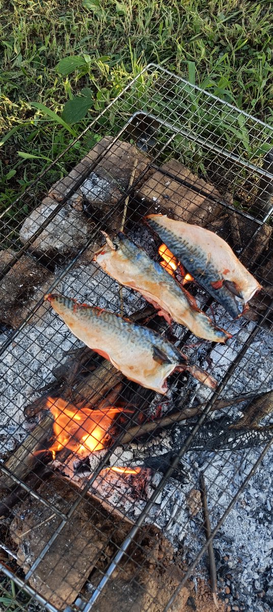 cleeen1100's tweet photo. 夕飯 https://t.co/veoe1yiJjK