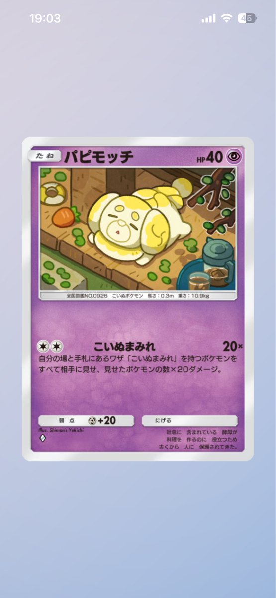 tturu26's tweet photo. このパピモッチかわいいな https://t.co/wQTc4W2xUb