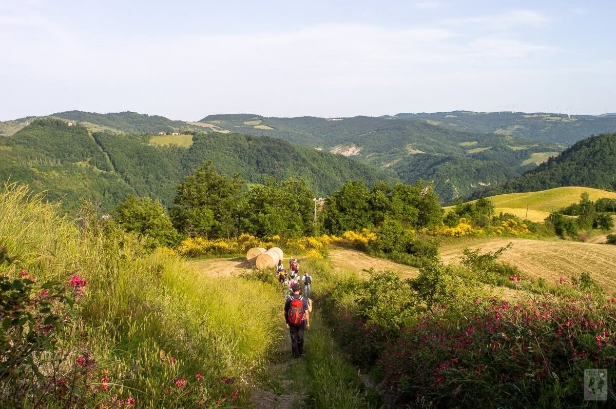 pietromit's tweet photo. @mondointasca IT.A.CÀ 2026: il turismo responsabile le “Geografie di Pace” in Italia. A settembre la XVIII edizione del festival diffuso che attraversa otto regioni tra cammini, cultura, trekkingi Da Alghero a Bologna, un viaggio che supera i confini. https://t.co/KBwv0XmLRV https://t.co/L14bLydt4m