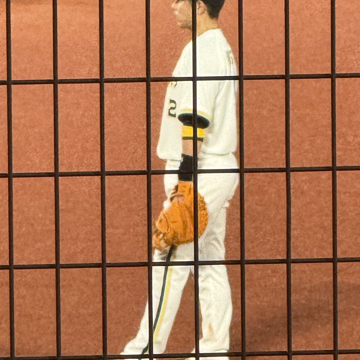 NobuyukiLilo's tweet photo. キャッチャーミット笑笑 https://t.co/GkwCxLa6Yt