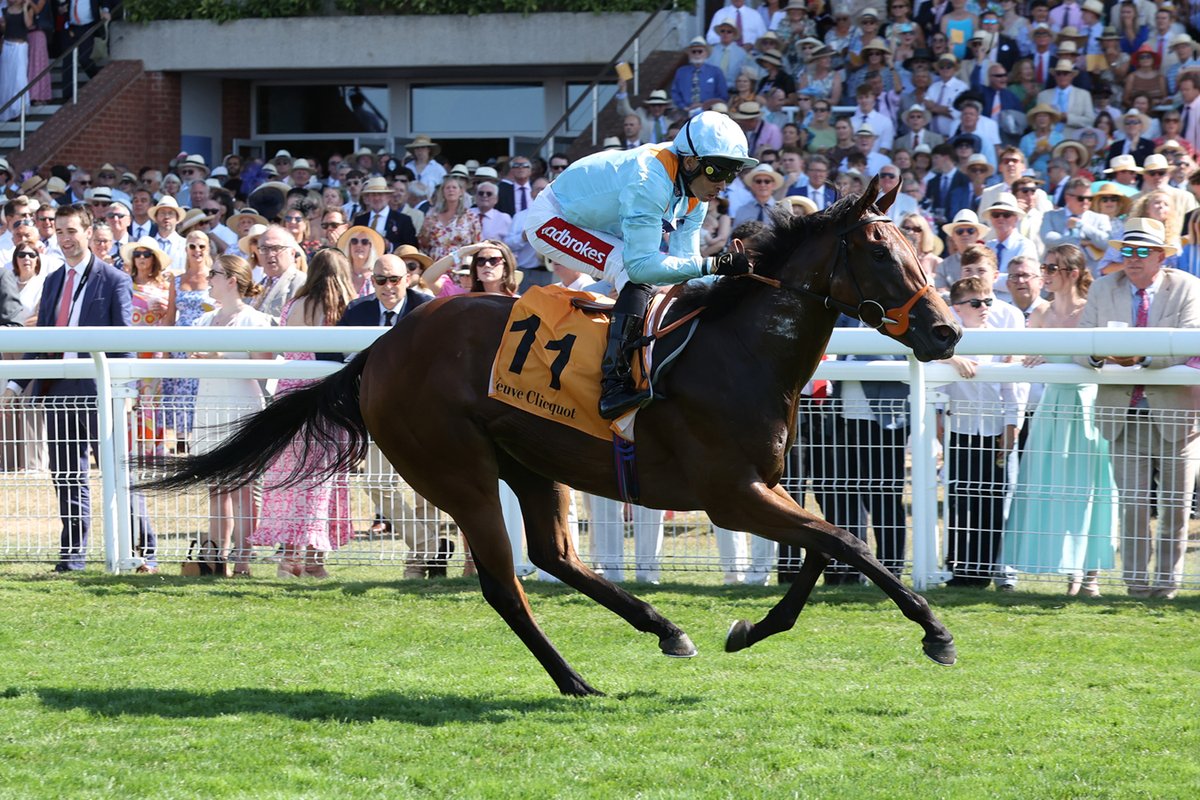 RacenewsService's tweet photo. "She is an extremely fast filly and there is a good chance we might have a look at the Nunthorpe Stakes at York"

Pershaada sets up Nunthorpe tilt in Veuve Clicquot Molecomb Stakes

read more👉https://t.co/51bIk4AmQn https://t.co/19Tupe49V0