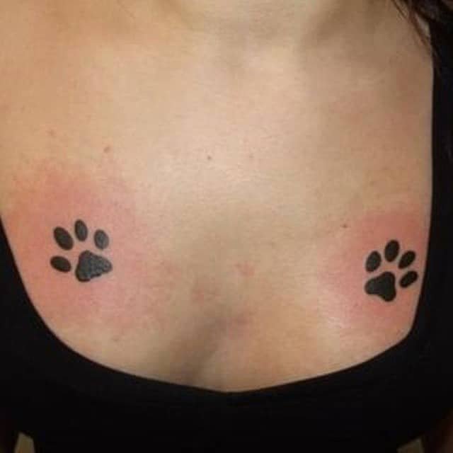 knottykim18's tweet photo. Stay pawsitive 🐾 https://t.co/Wk3p7D2CPk