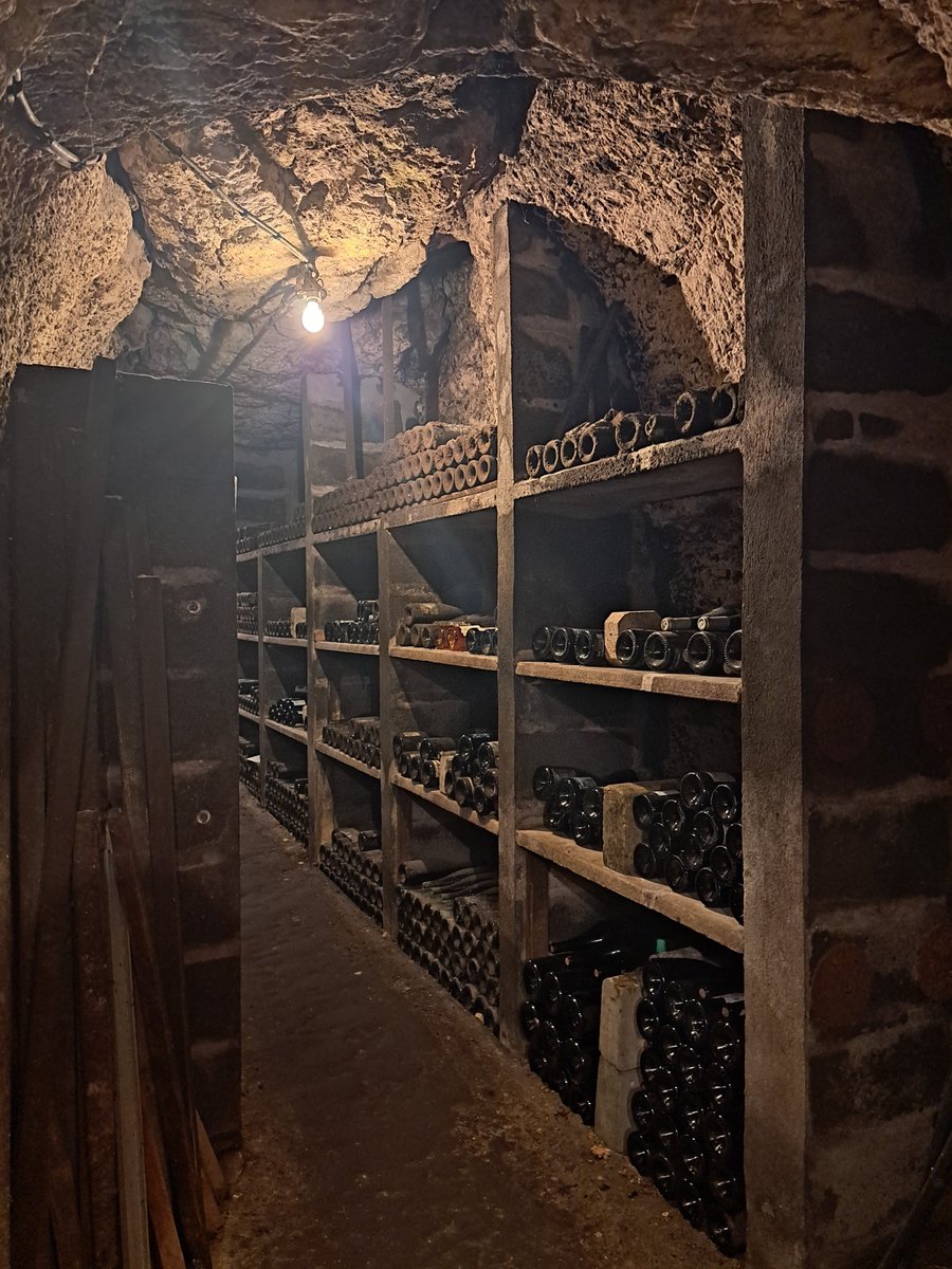 HildeStuyck's tweet photo. Les caves du pere August: wees gerust, deze wijn maakt deel uit van een tentoonstelling en is niet te koop
#Loirewijn #wijn #lescavesdupereAugust #Civray https://t.co/THrkWKjJ16