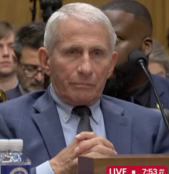 DavidsFiles's tweet photo. Fauci's hands were slightly trembling and he increasingly became uncomfortable and fidgety with his hands. Ashley Moody came close to breaking him.
#moody #fauci #covid #politics #davidsfiles https://t.co/yFHwiv8AQE