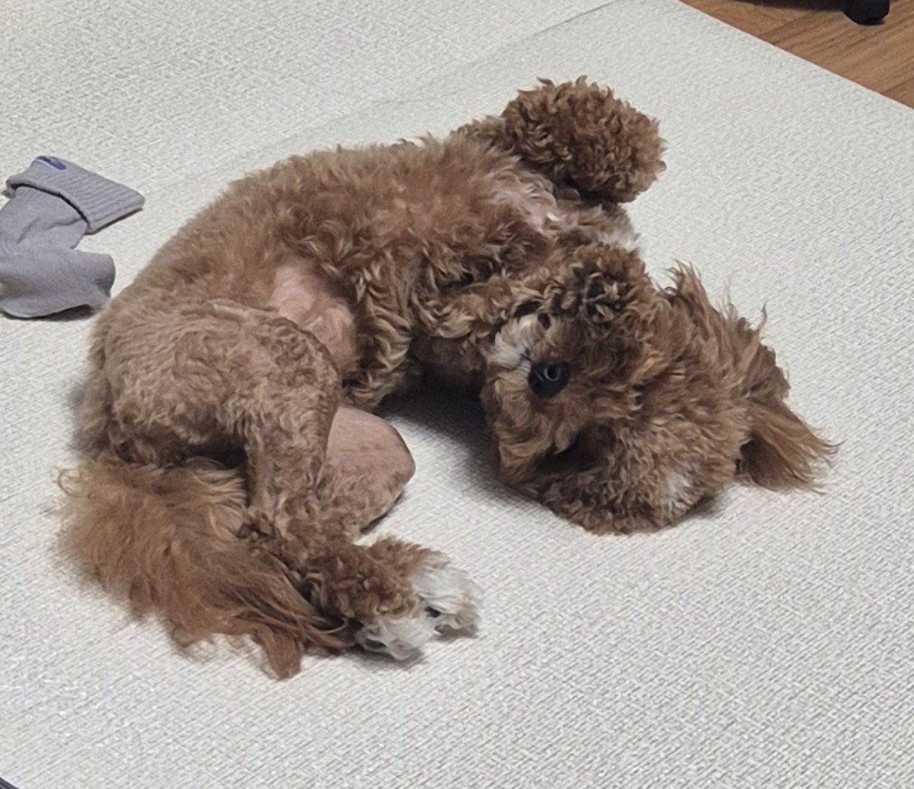 memilpillow's tweet photo. 겜 끄고 봣더니 당황스럽다 https://t.co/sQR7Kzkptr