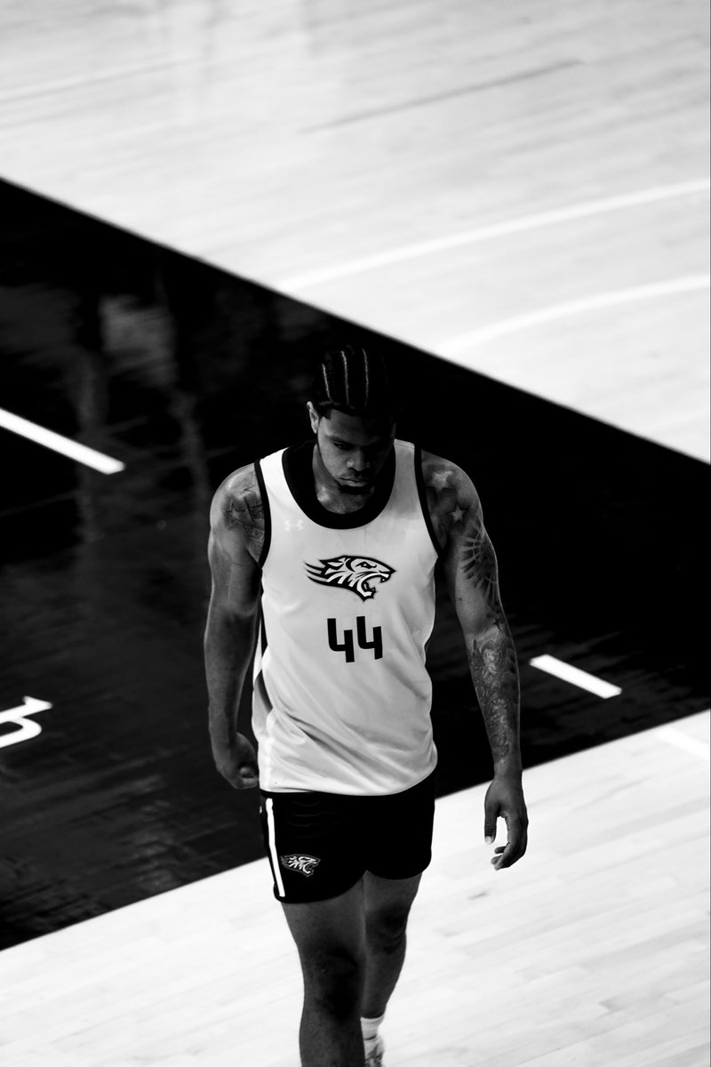 Towson_MBB's tweet photo. Basketball is art

#GohTigers https://t.co/syDfn5oaXs