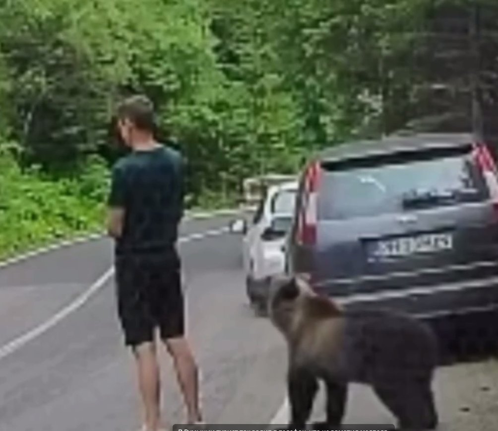 MyLordBebo's tweet photo. 🇷🇴🐻 It appears the man tried to trick the bear by standing still — a well-known tactic that can help determine whether the bear is defensive or simply curious

Running away was not an option, as it could have triggered the bear's chase instinct and that's exactly why he waited for the right moment to make a run for it

But seriously, did this bear actually mean him harm?