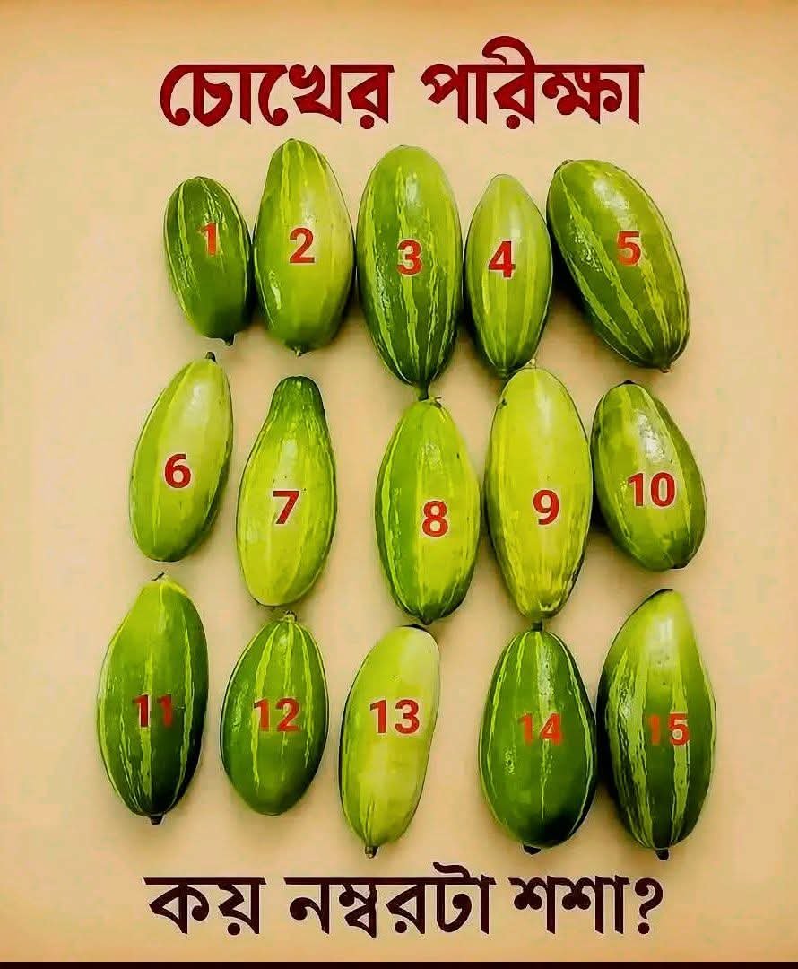 MdMetulHossain's tweet photo. https://t.co/5Pc9lCL6M9