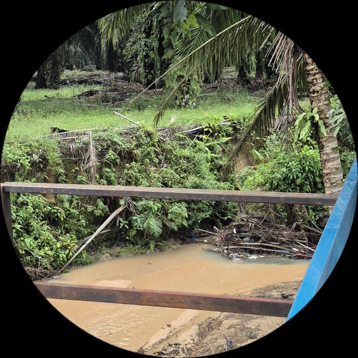 brucebanger369's tweet photo. @goddessgray_ce @hiddenrainuser This was yo balcony in d jungle n I have a shower in d corner will u bath naked https://t.co/B3L5Rm8tKP