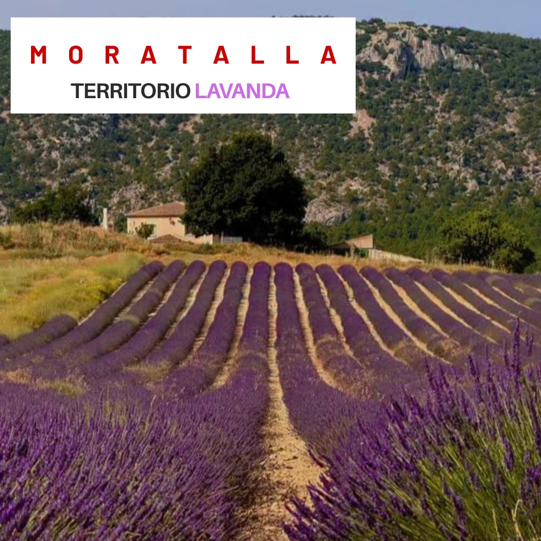 ArqueoTrip's tweet photo. #Moratalla suena a historia, naturaleza y desconexión. Déjate sorprender por su patrimonio y vive una escapada que recordarás. ¿Te animas? #Escapada #ArqueoTrip https://t.co/3FGb7oMEzM