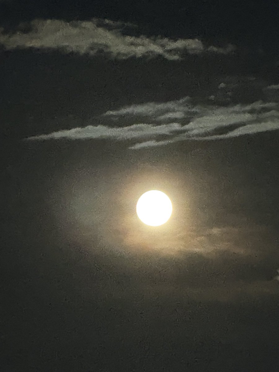 kis_ryu's tweet photo. 今日の月🌕 https://t.co/hcjpCcj0RK