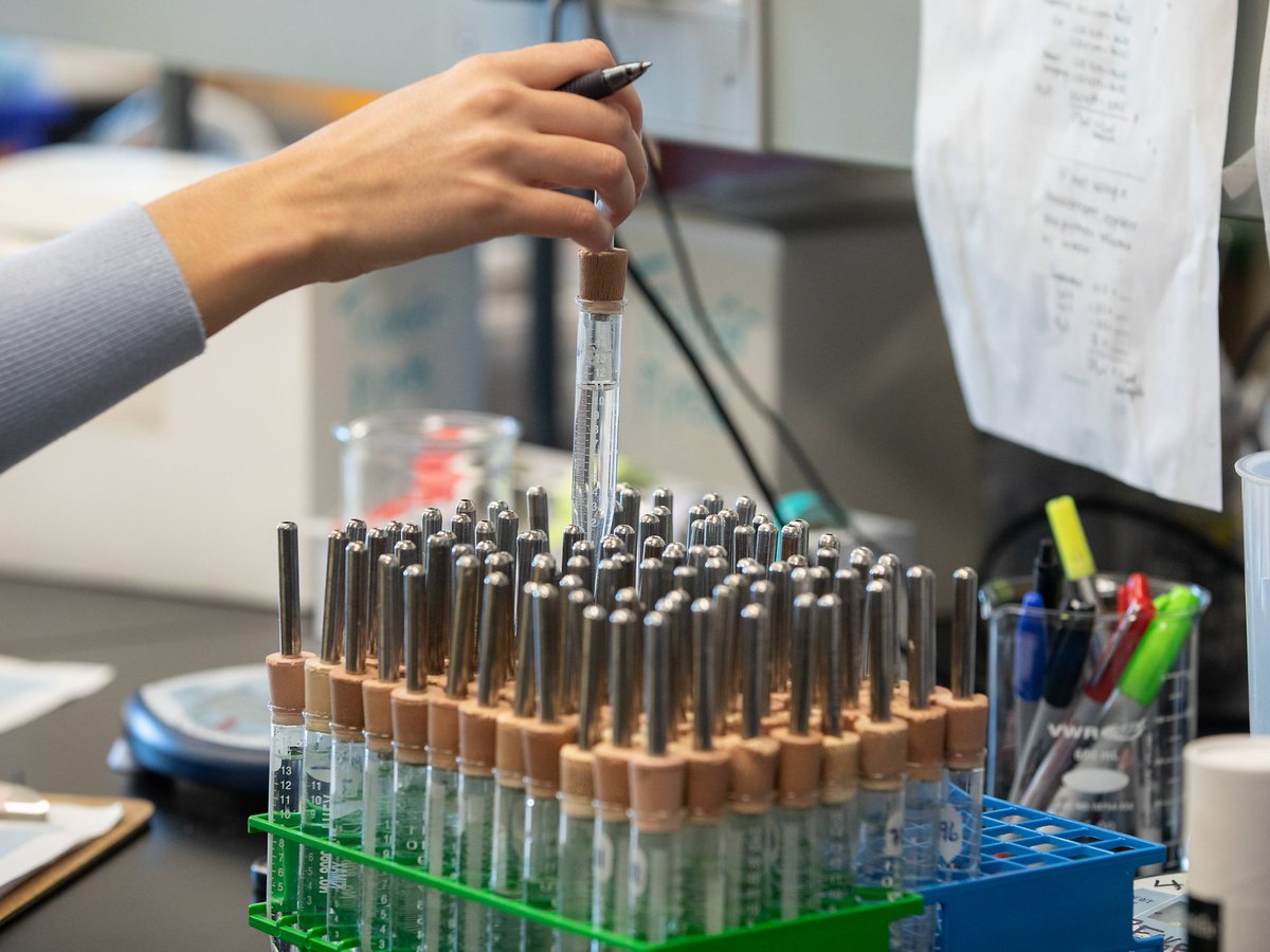 MUSC_COM's tweet photo. Excited to share that our Alcohol Research Center has been renewed through 2031! For 35 consecutive years, our center has advanced research on alcohol use disorder, improving prevention, treatment, and health outcomes. We are grateful to our outstanding team and collaborators! https://t.co/0mPtsPyWnw
