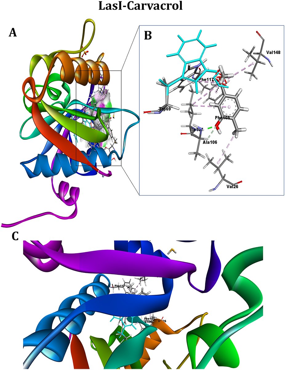 CanJMicrobio's tweet photo. Carvacrol, a monoterpenoid, binds quorum sensing proteins (LasI and LasR) and swarming motility protein BswR of Pseudomonas aeruginosa ... | Datta et al

Featured in the Advances in Systems Biology and Bioinformatics collection in CJM. 🧫🔬

Read it here: https://t.co/DN1ARZUm9G https://t.co/aXwl4wONna