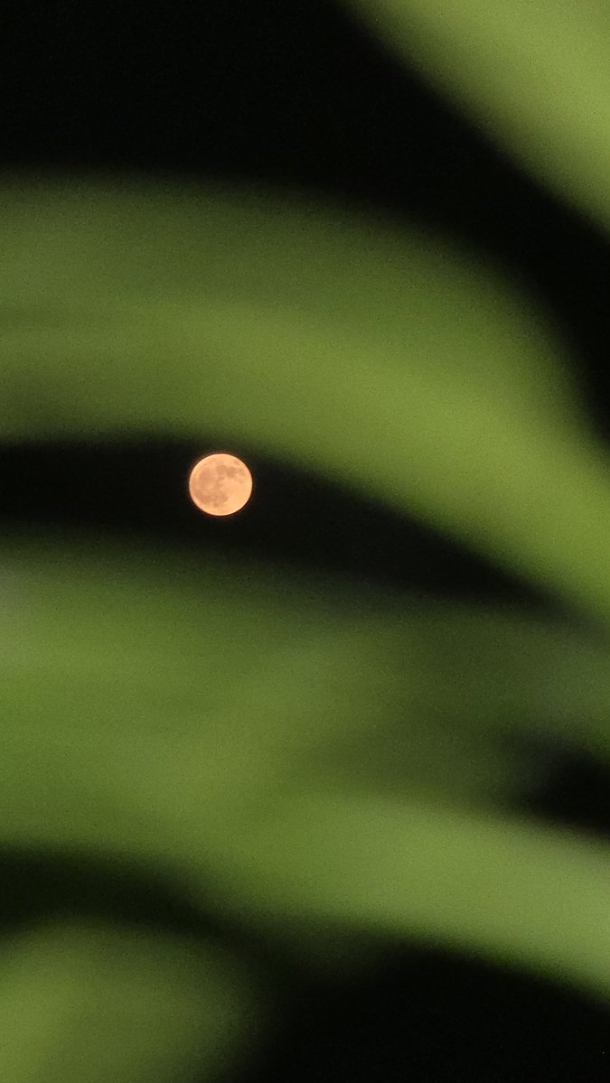 iffiViews's tweet photo. Meet me under the moon. https://t.co/jl9nWO0Fkn