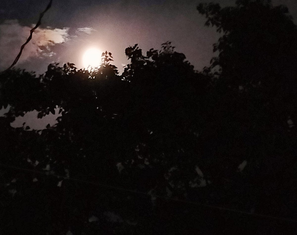 DrRsarma's tweet photo. O my Aquarius full moon! 🌕
Long after a month, and my hard bargaining with the rain, finally it ceased and I won. So glad to have this slight glimpse of you.
O moon, dear moon, come down for a while. 
We'll sit side by side, talk, and share our hearts in quiet conversation.✨ https://t.co/wisqEklLGR