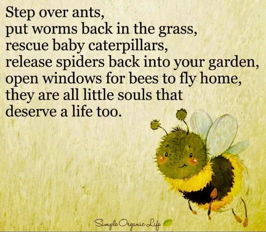 veganfuture's tweet photo. https://t.co/TOl6GTG1Iq