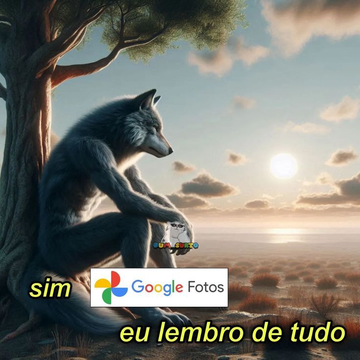 AnaliseDeCalvos's tweet photo. https://t.co/Tf7lt6s4H2