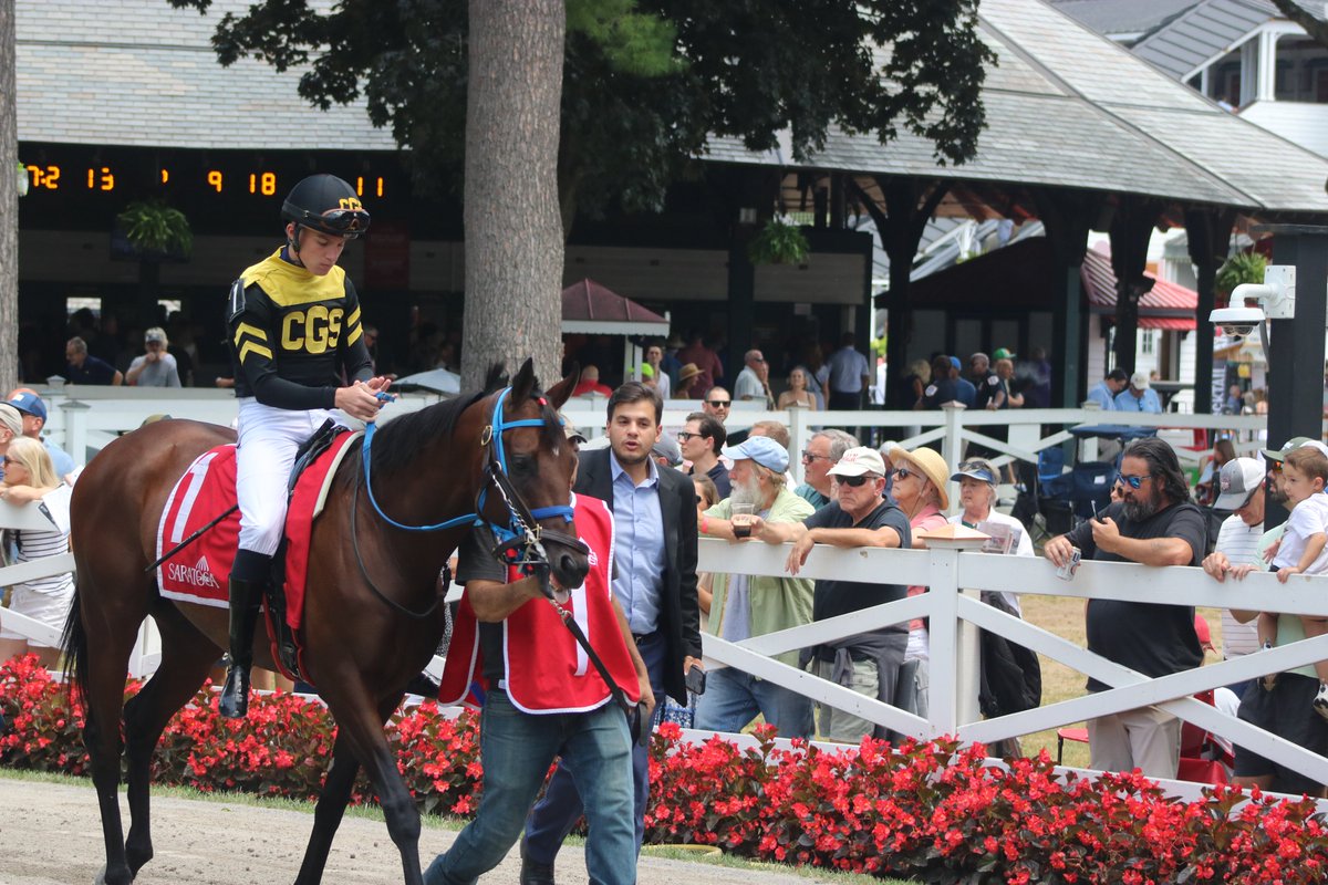 America’s Pastime Stables tweet media