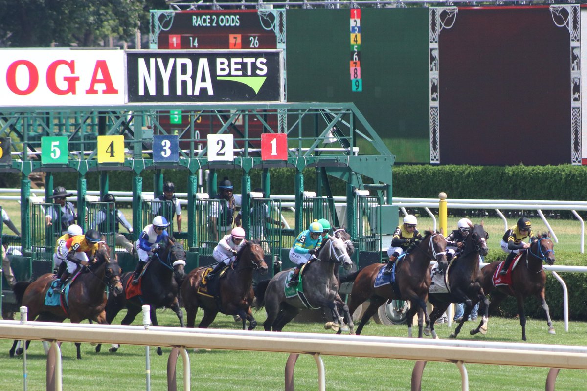 America’s Pastime Stables tweet media