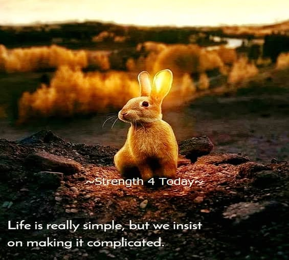 Strengthfor2day's tweet photo. Life Is Really Simple,
But We Insist On making It Complicated.

#Life #Simple #Insist #MakeIt #Complicated #RecoveryPosse #Strengthfor2day https://t.co/s3Ws17HGVV