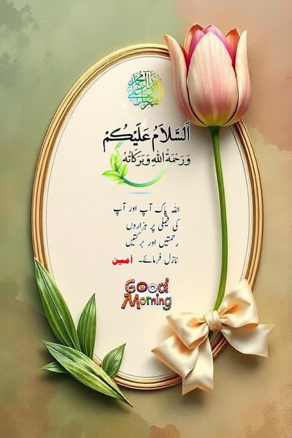 MianAhmad709 tweet picture