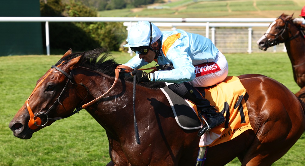 RacehorseOwners's tweet photo. 🗣️ "It's great for the syndicate and everyone involved."

Sean Levey knows! ⬆️

Pershaada was an impressive winner of the Molecomb for Middleham Park Racing on the second day of Glorious Goodwood. Could the team be tempted to roll the dice in the Nunthope at York next month?

#SharedOwnership #GetInvolved