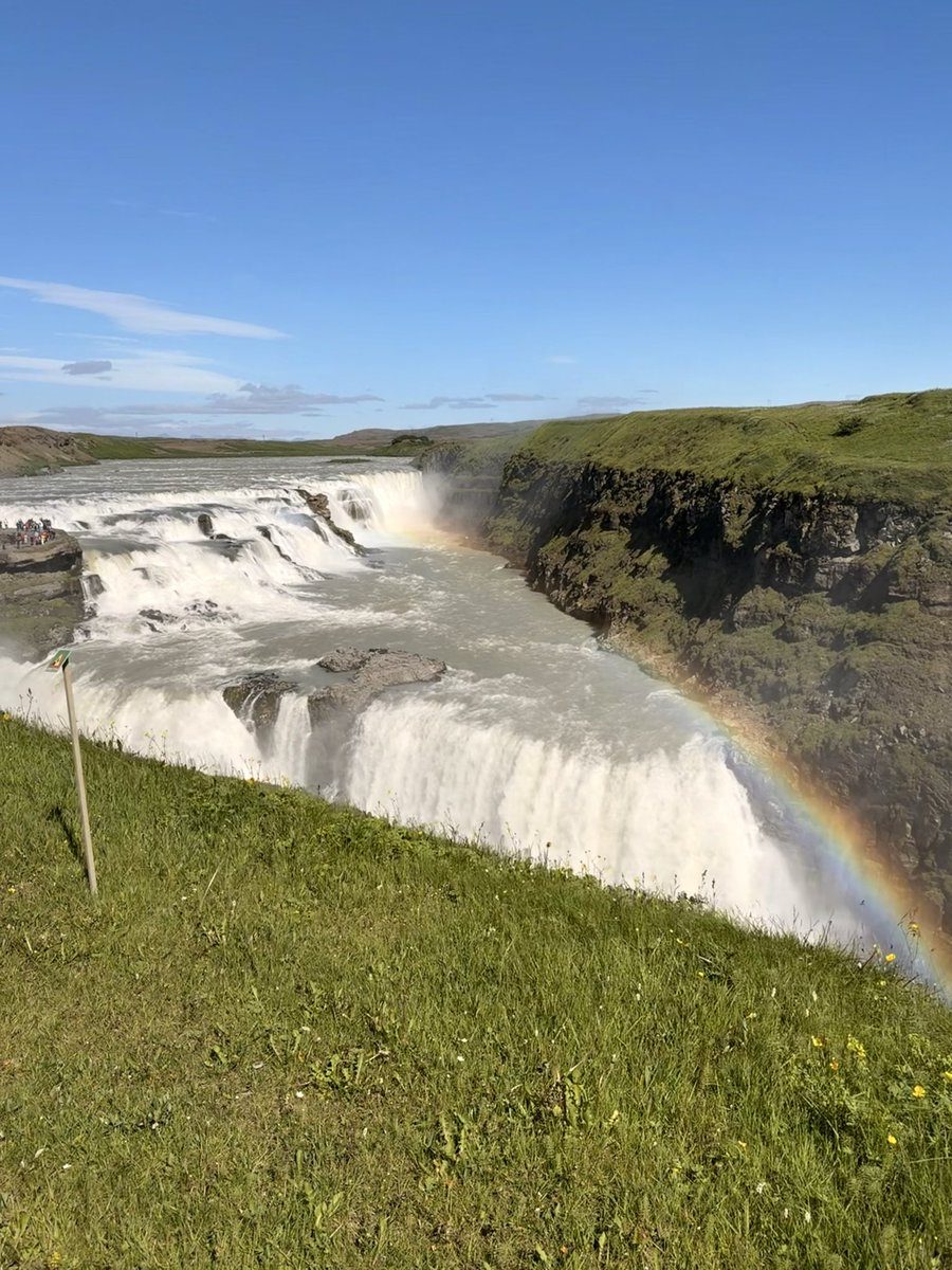 gorillababe's tweet photo. Happy wonderpaw #WhiskersWednesday 😻 Da hooz are back, but here beez a few more pics of dare Iceland trip 🇮🇸🌎Wuv mew ❤️#CatsOfTwitter #Hedgewatch https://t.co/iidJcgmYqo