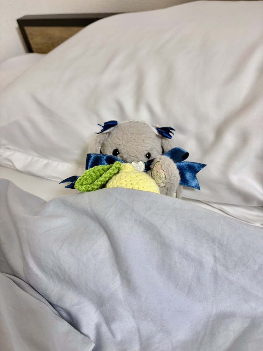 furusara_hug's tweet photo. @hamupukuge 「ぷくげちゃ、ありがと…♪🐰
ふるさら、きょうは、れもんとねる🍋
いろんなフルーツにかこまれてねるのゆめ♡」 https://t.co/fXulUcTnta